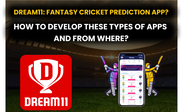 Dream11: Fantasy Cricket Prediction App? How to Develop these types of Apps and from where?